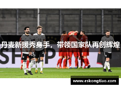 丹麦新援秀身手，带领国家队再创辉煌